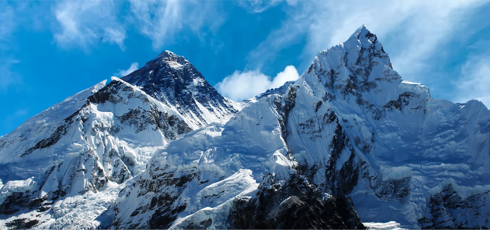 International Expeditions