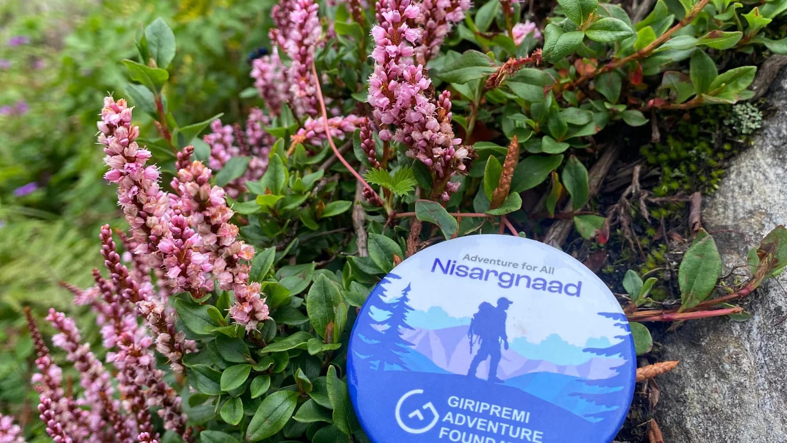 Valley of Flowers and Hemkund Sahib